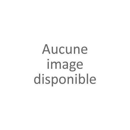 Ensemble Brûle encens "fait main" en terre cuite avec son charbon et son encens naturel Thiouraye